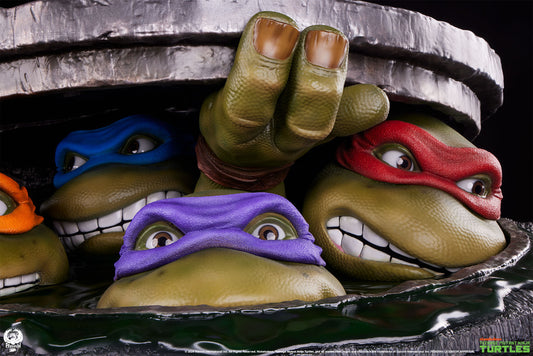 TMNT Mystery